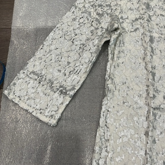Banana Republic White Lace Silver Matte Sequins 3/4 Sleeve Blouse - Picture 6 of 14